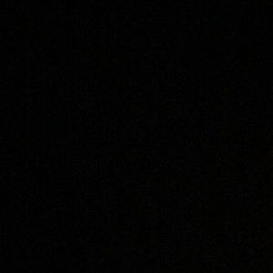 Meet your Posher, Rattyfam